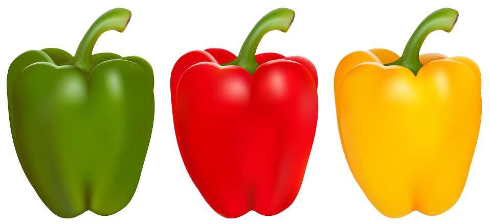 Nepal Flag